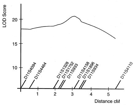 Figure  5