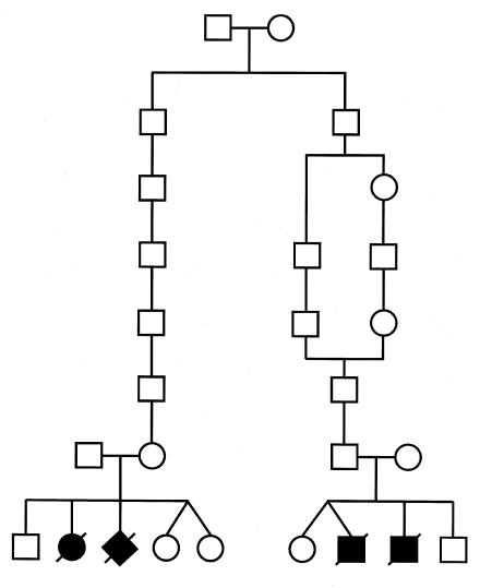 Figure  4