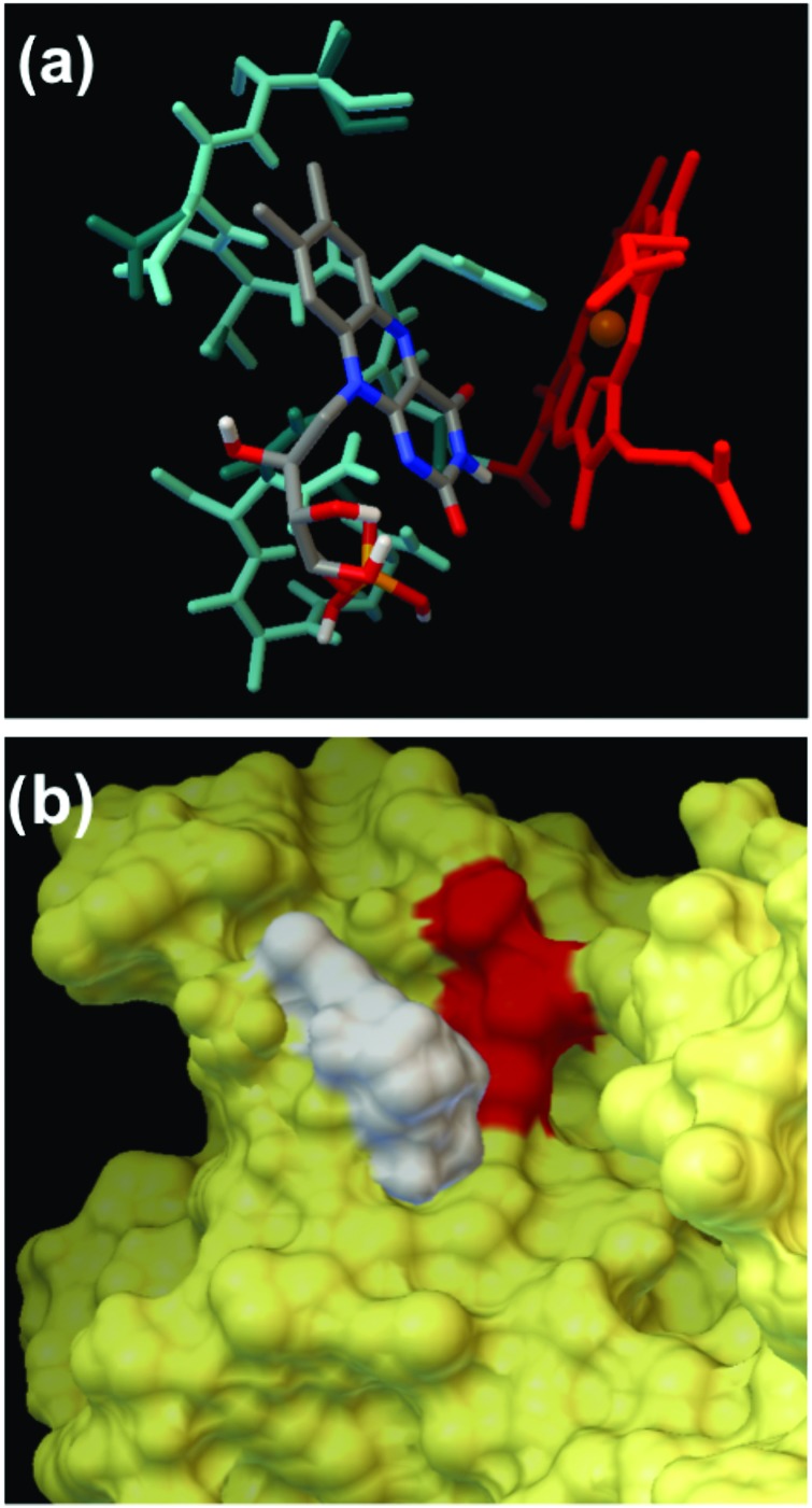 Fig. 11.