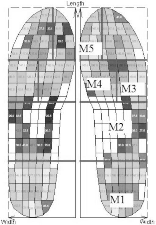 Figure 1 -