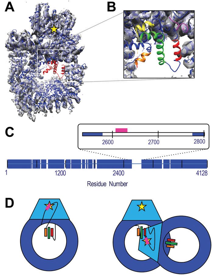 Figure 1: