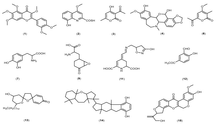 Figure 10