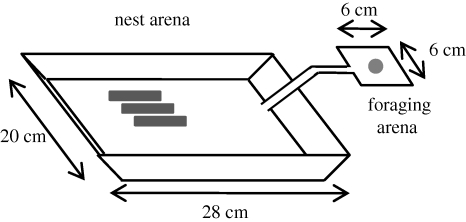 Figure 1.