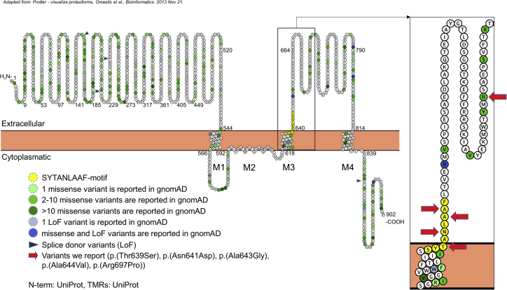 Figure 1