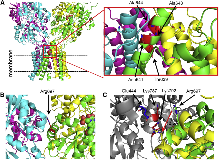 Figure 2