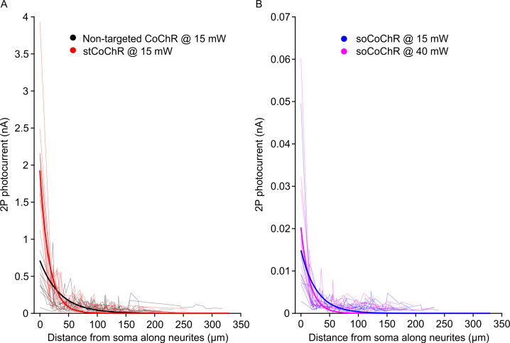 Figure 1—figure supplement 2.