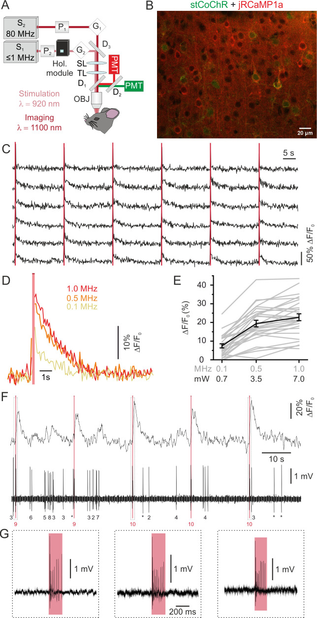 Figure 6.