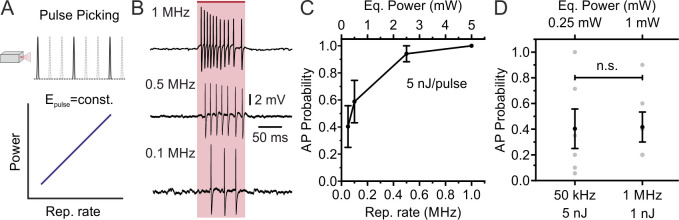 Figure 4—figure supplement 1.