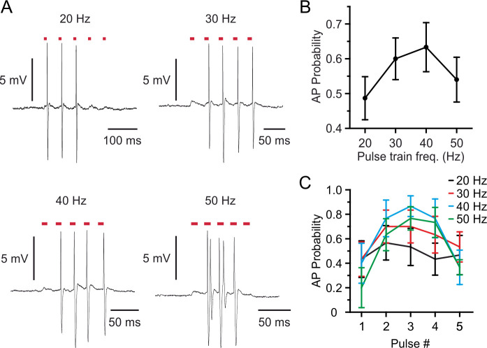 Figure 3—figure supplement 1.