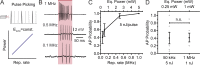 Figure 4—figure supplement 1.