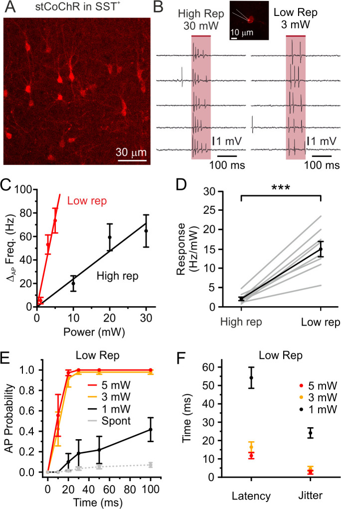 Figure 3—figure supplement 2.