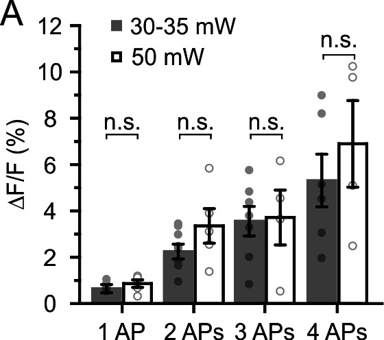 Figure 5—figure supplement 2.