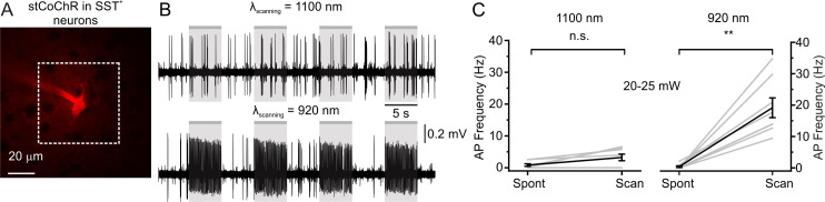 Figure 5—figure supplement 1.