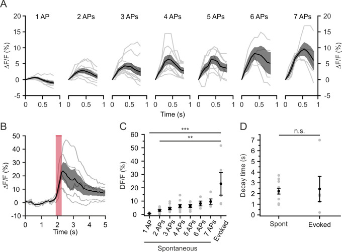 Figure 6—figure supplement 2.