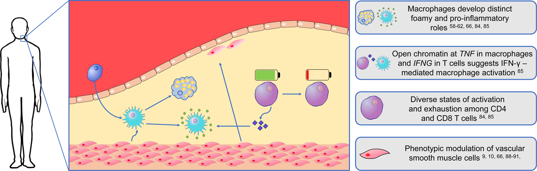 Figure 3: