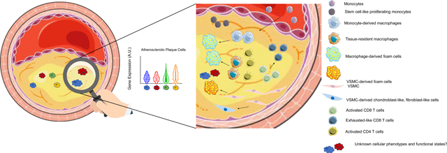 graphic file with name nihms-1697297-f0004.jpg