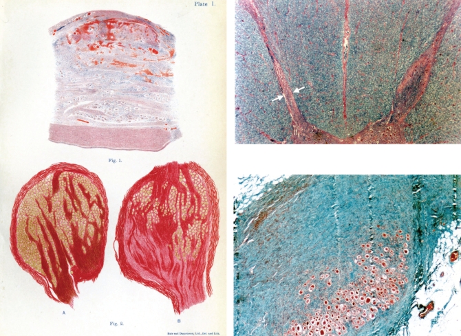 Figure 3)