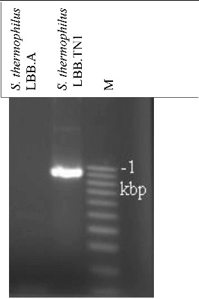 Figure 3. 