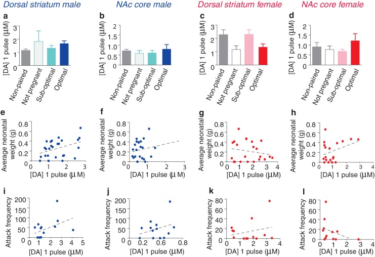 Figure 6—figure supplement 2.