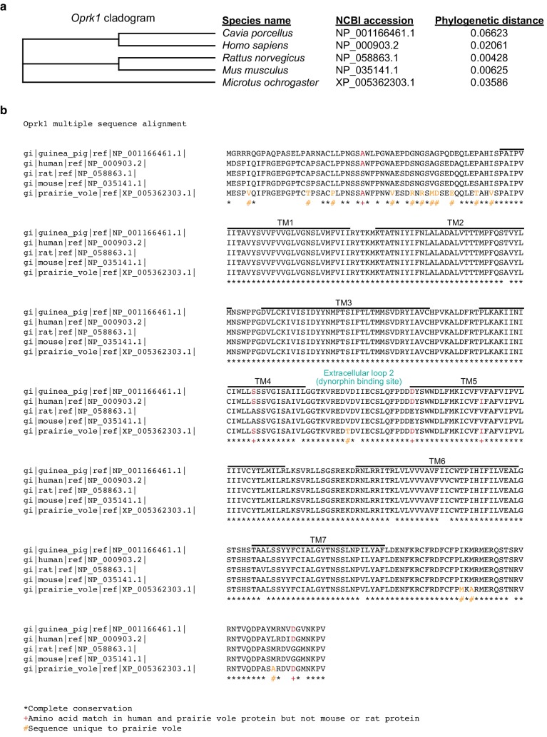 Figure 7—figure supplement 1.