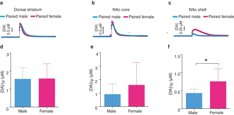 Figure 5—figure supplement 1.