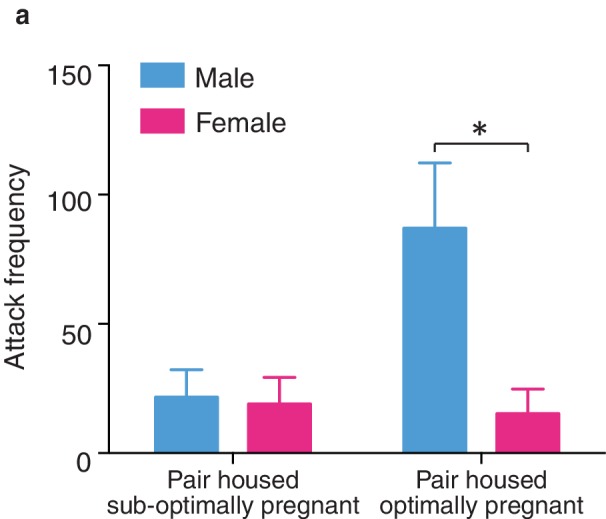 Figure 6—figure supplement 1.