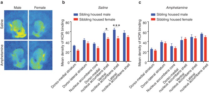 Figure 10—figure supplement 1.