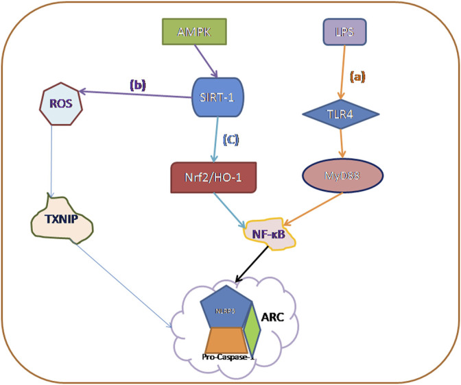 FIGURE 2