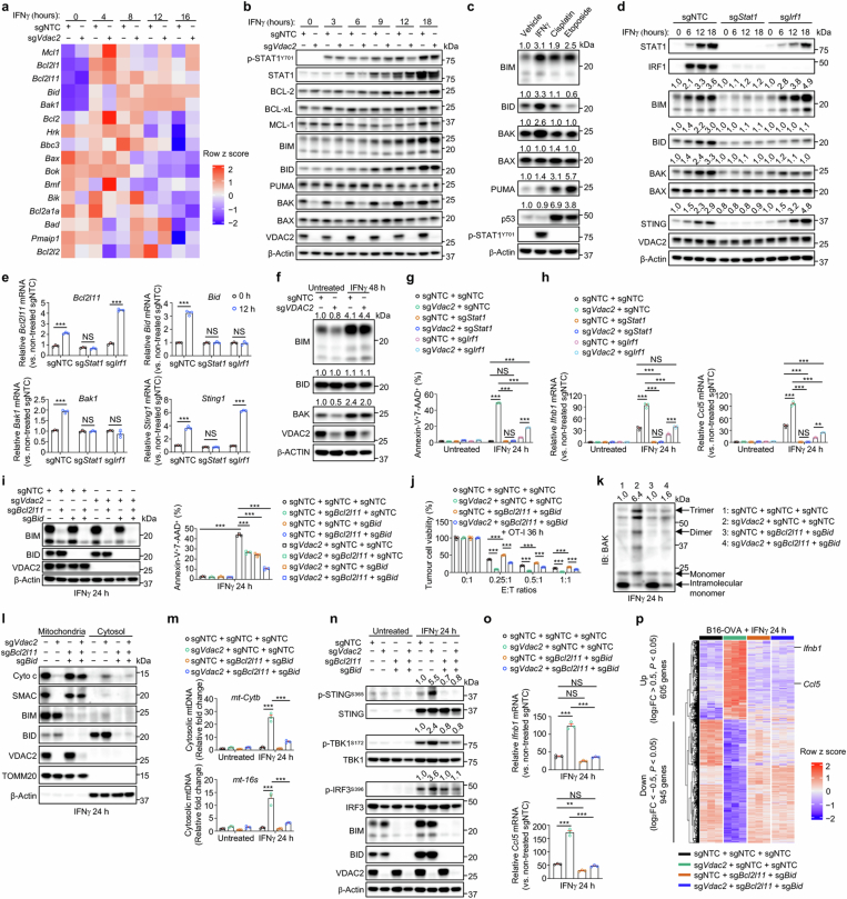 Extended Data Fig. 8