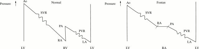 Figure 1  