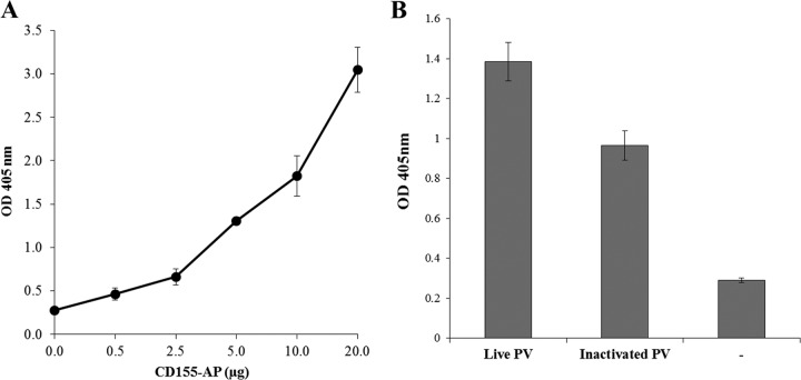 FIG 1