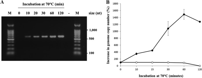 FIG 5