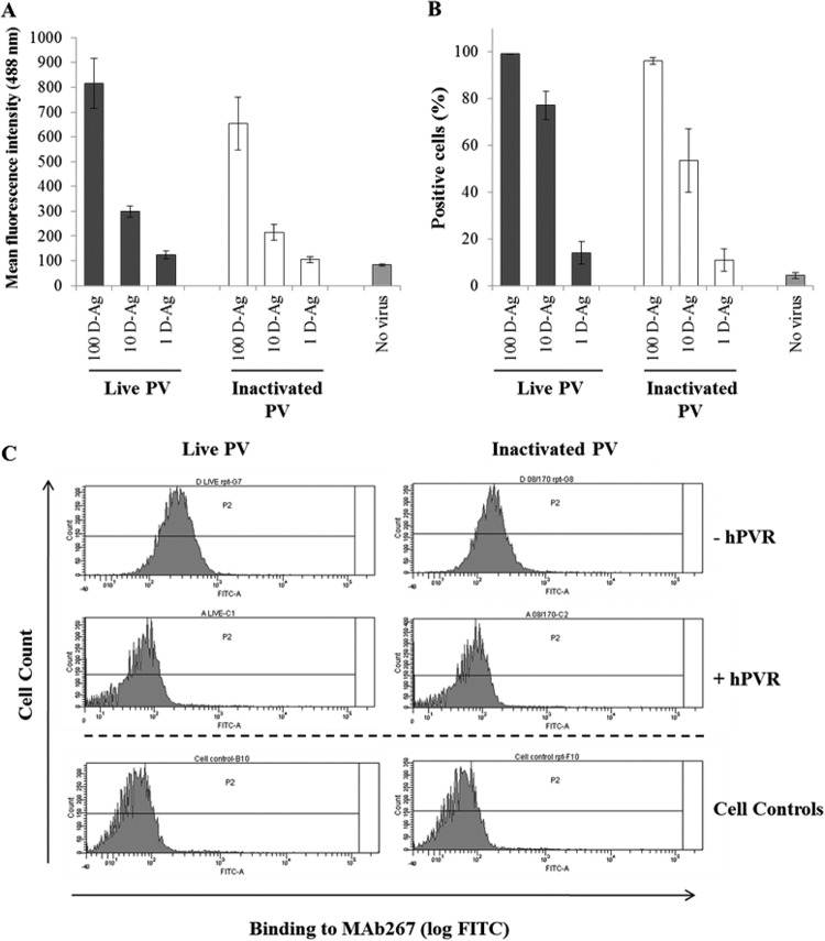 FIG 2