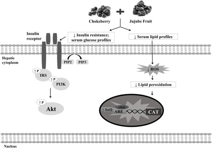 Fig. 10