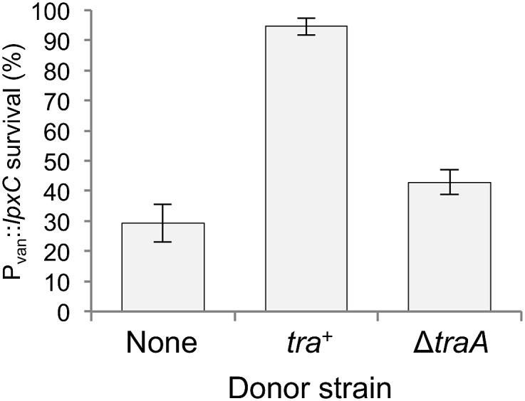 Fig. 6.