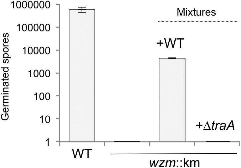 Fig. 3.