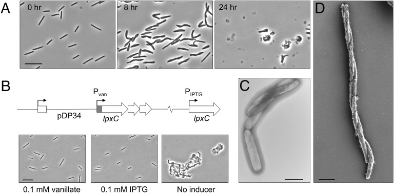 Fig. 4.