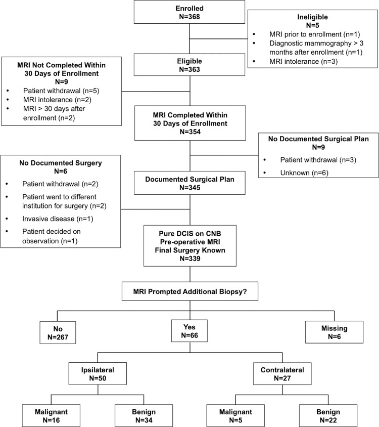 Standards for Reporting of Diagnostic Accuracy flow diagram. CNB = core needle biopsy, DCIS = ductal carcinoma in situ.