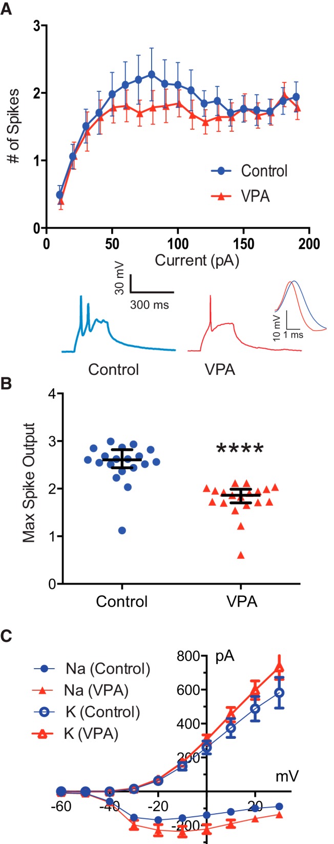 Figure 6.