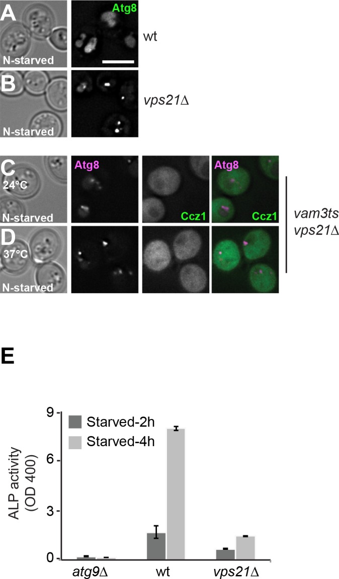 Figure 1—figure supplement 2.