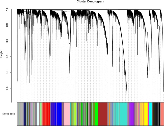 FIGURE 3