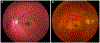 Figure 9 -