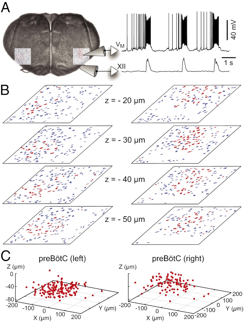 Fig. 1.