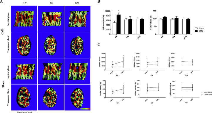 Figure 4