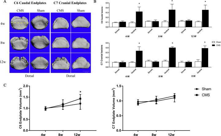 Figure 5