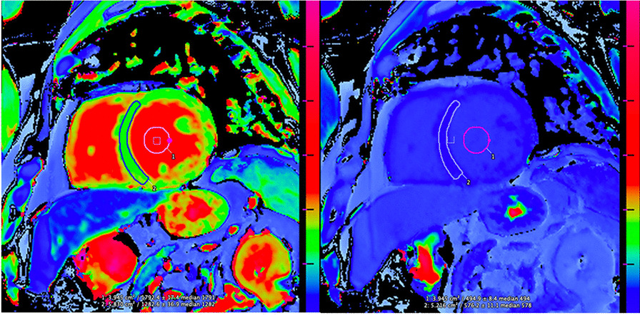 Fig. 3