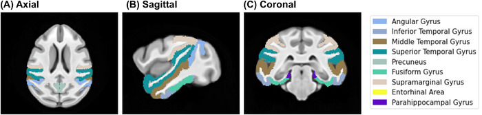 FIGURE 1