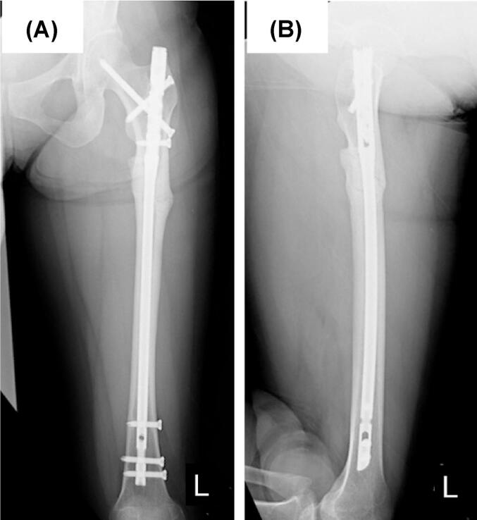 Fig. 5