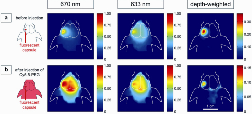 Fig. 3