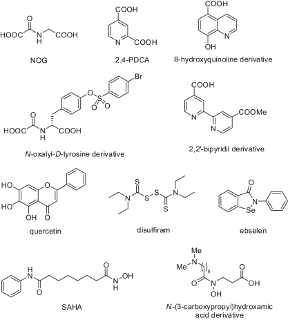 Figure 10.